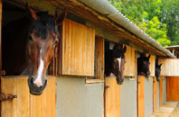 free Kingweston stable construction quotes